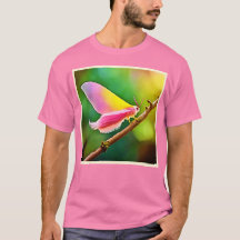 Belleza del ala arco iris