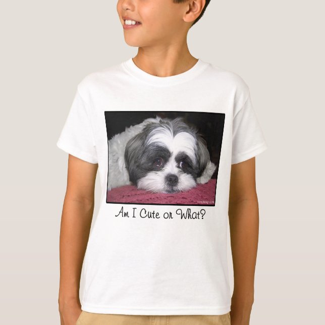 Camiseta Belleza el perro de Shih Tzu (Anverso)