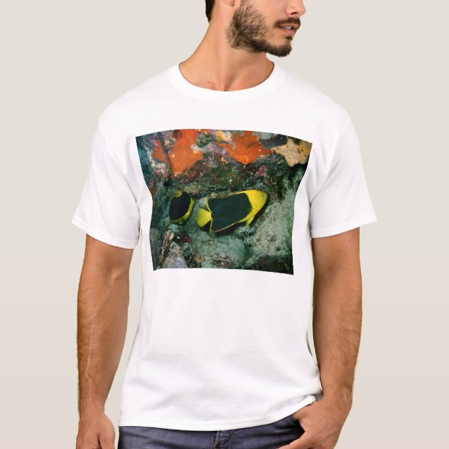 Camiseta Bellezas de roca (Anverso)