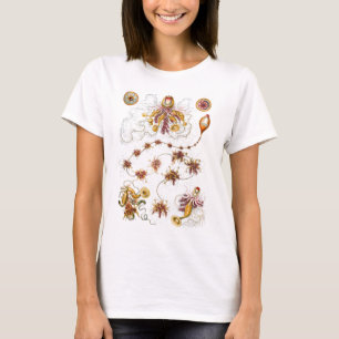 Camiseta Bello Artes de Siphonophorae Ernst Haeckel