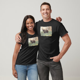 Camiseta Bello oso negro