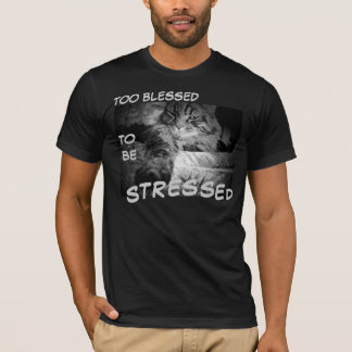 Camiseta Bendecido también para ser subrayado