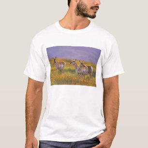 Camiseta Berrendo antílope en Montana