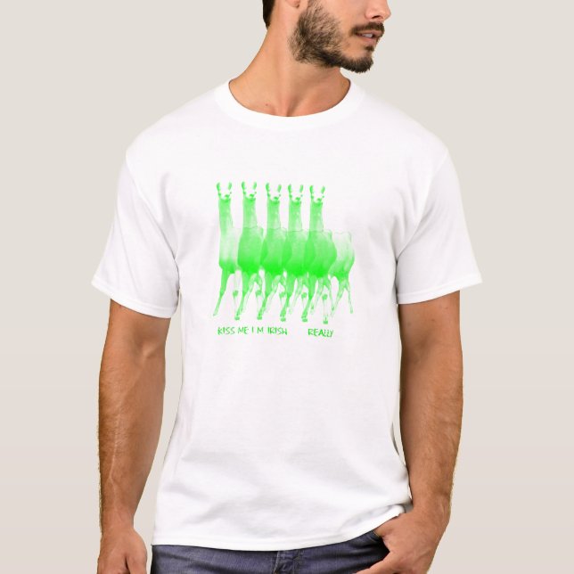 Camiseta béseme llama del irlandés im realmente (Anverso)