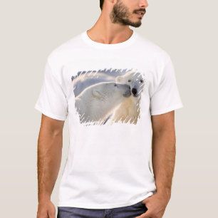Camiseta Beso de oso polar
