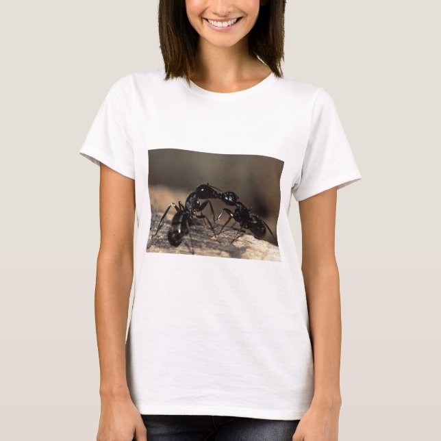 Camiseta besos de hormigas (Anverso)