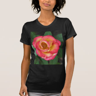 Camiseta Betty Boop 140