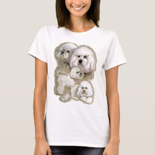 Camiseta Bichon Frise