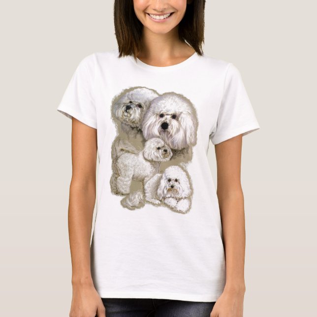 Camiseta Bichon Frise (Anverso)
