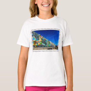 Camiseta Bielorrusia Беларусь Minsk Минск Arquitectura Cami