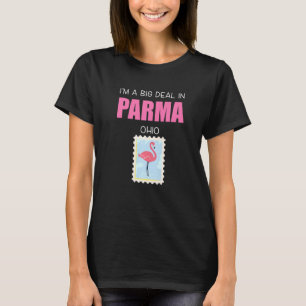 Camiseta Big Deal Sarcástico Flamingo Rosa Parma Ohio Souve