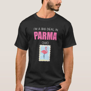 Camiseta Big Deal Sarcástico Flamingo Rosa Parma Ohio Souve