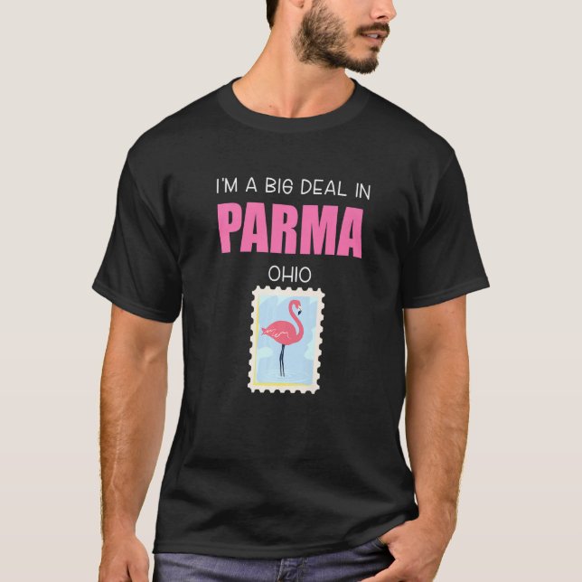 Camiseta Big Deal Sarcástico Flamingo Rosa Parma Ohio Souve (Anverso)