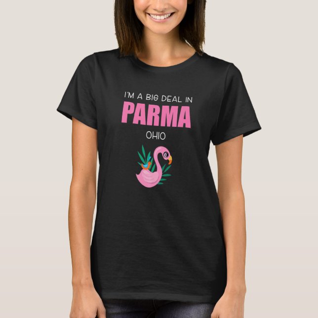 Camiseta Big Deal Sarcástico Parma Ohio Flamingo Rosa Souve (Anverso)