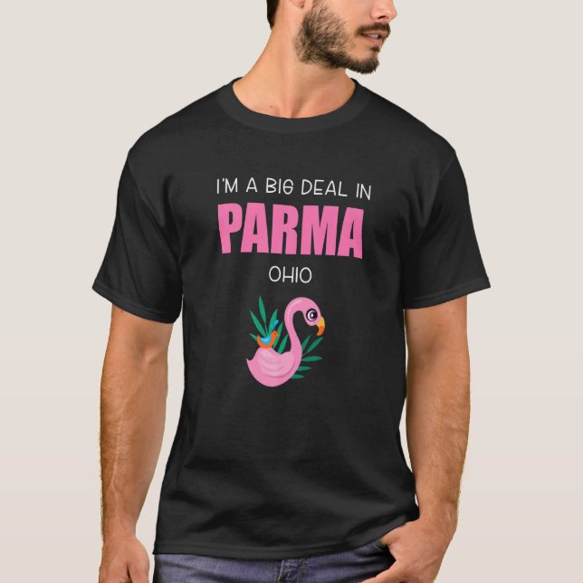 Camiseta Big Deal Sarcástico Parma Ohio Flamingo Rosa Souve (Anverso)