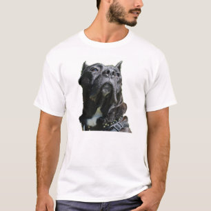 Camiseta Big Dog T Shirt
