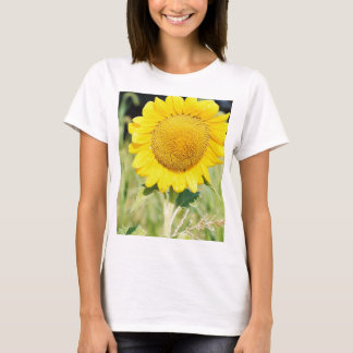 CAMISETA 'BIG SUNFLOWER