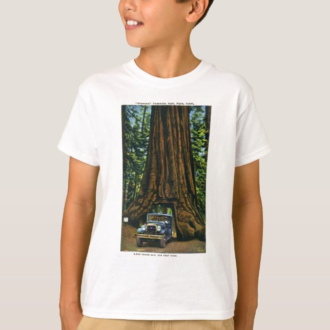 Camiseta Big Tree Wawona, Mariposa Grove, CA (Anverso)