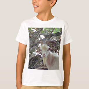 Camiseta Billy Goat
