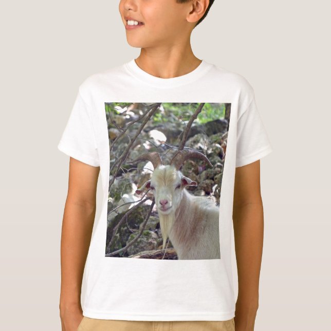 Camiseta Billy Goat (Anverso)