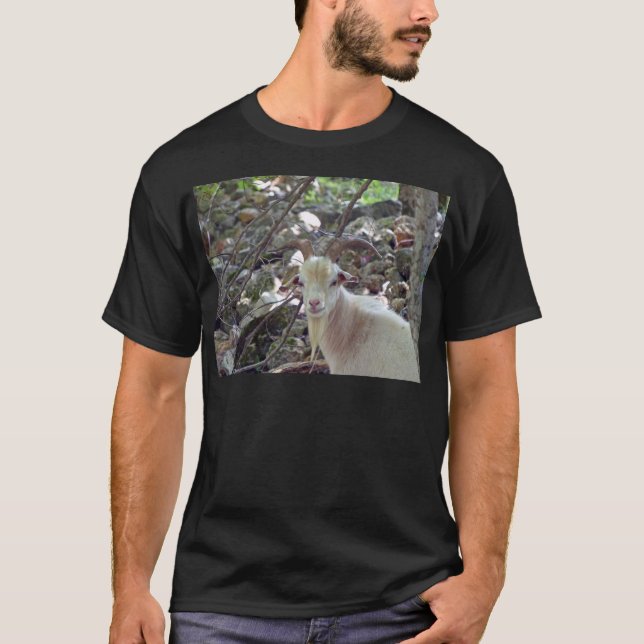 Camiseta Billy Goat (Anverso)