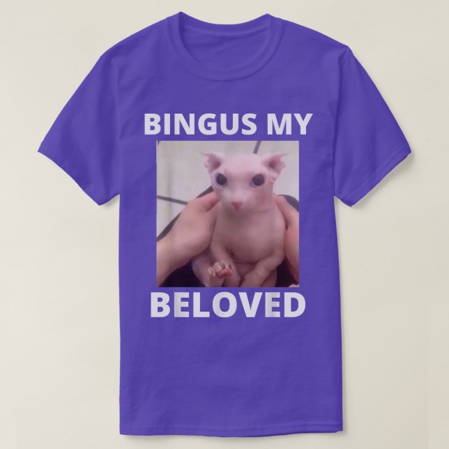Camiseta Bingus Está Llamando A Mi Querida Esfinge Sin Cabe (Diseño del anverso)