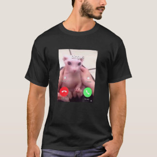 Camiseta Bingus Está Llamando a Mi Querido Gato Sfinx Sin P
