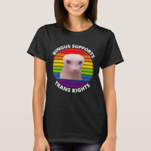 Camiseta Bingus está llamando a mi querido gato Sphinx sin 