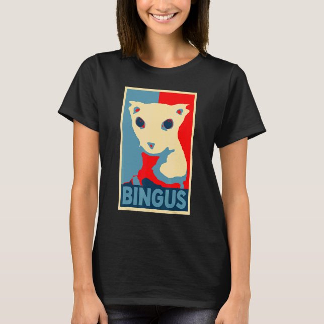 Camiseta Bingus Mi Querido Gato Sphynx Sin Pelo Meme  (Anverso)