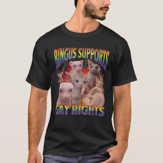 Camiseta Bingus Supports Gay Rights Funny Sphinx Cat Meme B