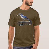 Birder Birdwatching California Scrub Jay B