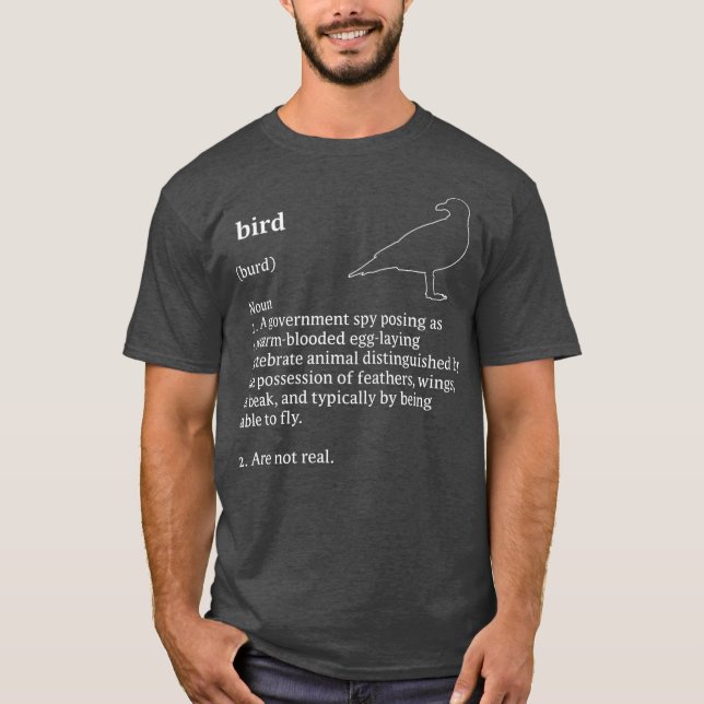 Camiseta Birds Arent Real Dictionary Minimalist (Anverso)