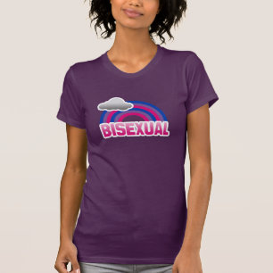 CAMISETA BISEXUAL RAINBOW