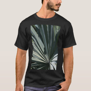 Camiseta Bismarckia nobilis