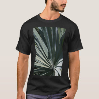 Camiseta Bismarckia nobilis