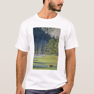 Camiseta Bison con cría en el Parque Nacional Yellowstone