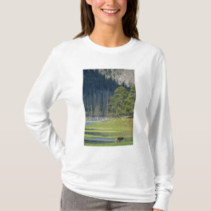 Camiseta Bison con cría en el Parque Nacional Yellowstone