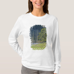 Camiseta Bison con cría en el Parque Nacional Yellowstone