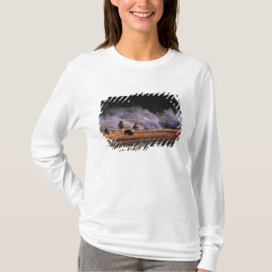 Camiseta Bison pastando en la cuenca de géiseres superior