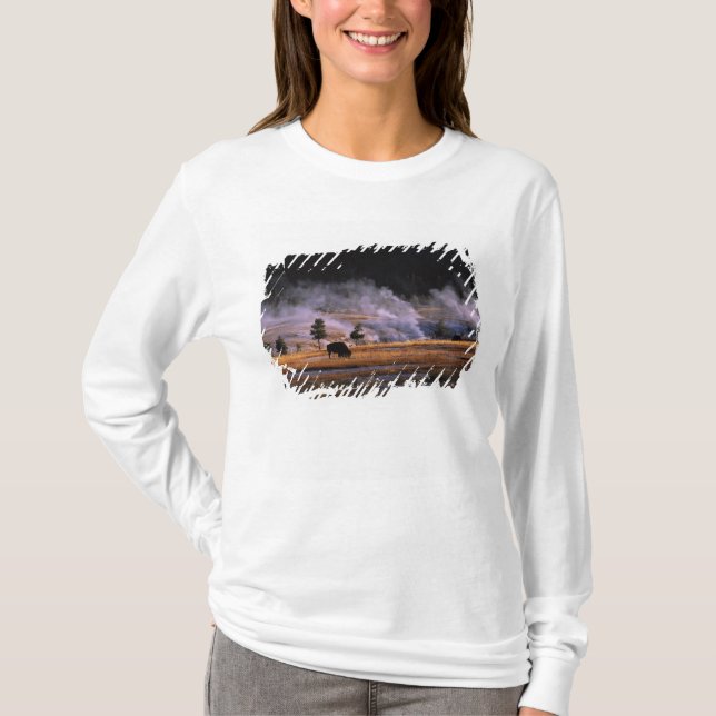 Camiseta Bison pastando en la cuenca de géiseres superior (Anverso)