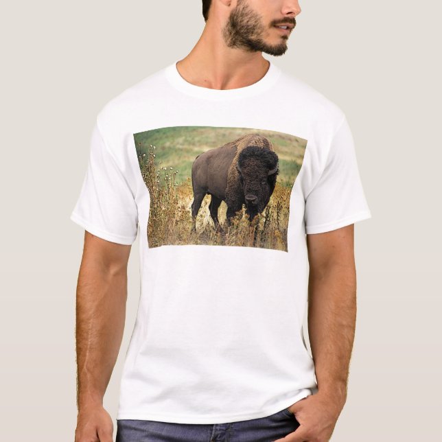 Camiseta Bisonte americano (Anverso)