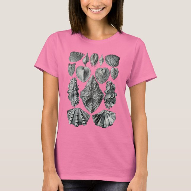 Camiseta Bivalvia (Anverso)