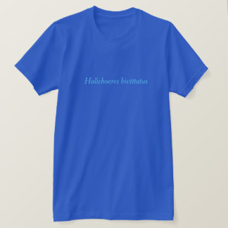Camiseta Bivittatus de Halichoeres