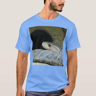 Camiseta Black Mamba