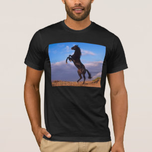 Camiseta Black Stallion