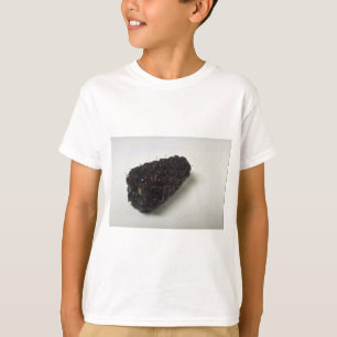 Camiseta Blackberry delicioso