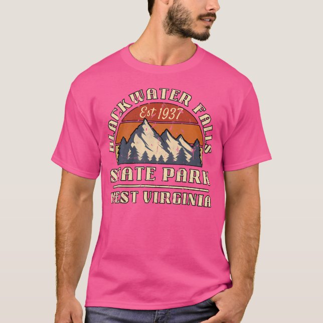 Camiseta Blackwater Falls State Park West Virginia (Anverso)