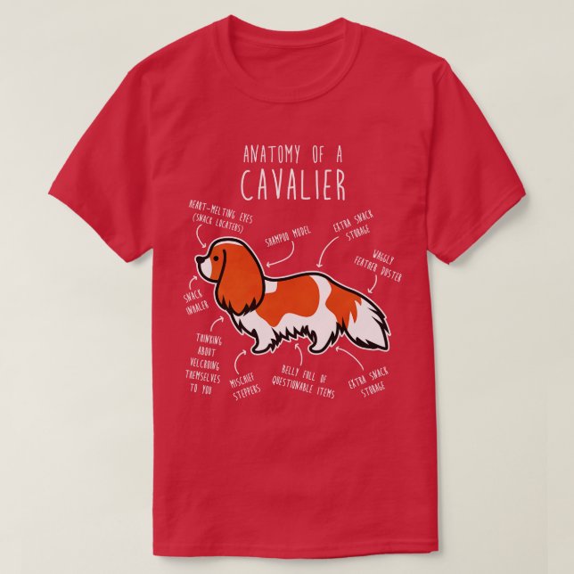 Camiseta Blenheim Cavalier King Charles Spaniel Dog Anatomí (Diseño del anverso)
