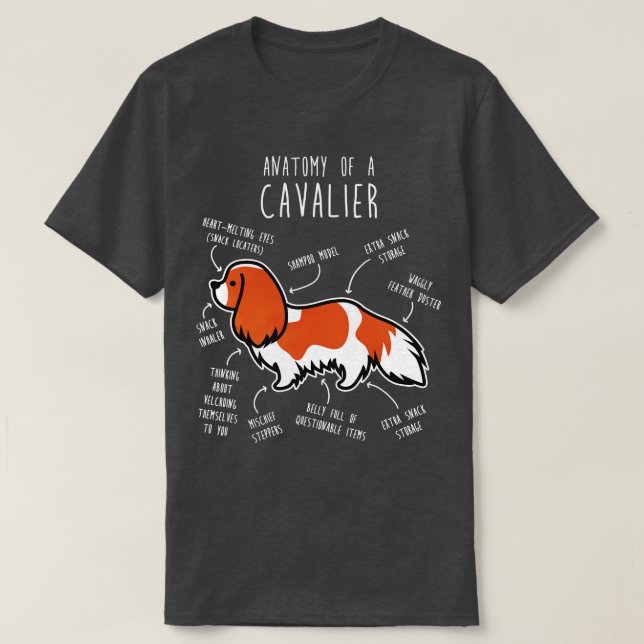 Camiseta Blenheim Cavalier King Charles Spaniel Dog Anatomí (Diseño del anverso)