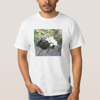 Camiseta Bloodroot, canadensis del Sanguinaria